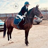 ГНЕДОЙ ЖЕРЕБЕЦ 7 ЛЕТ