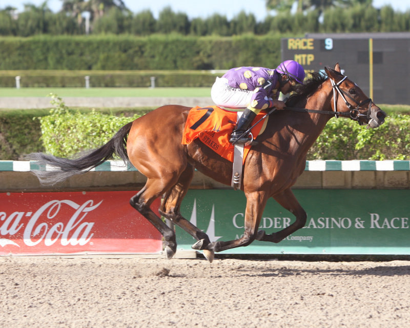 Ипподром Gulfstream Park 2012 год, скачка Florida Sunshine Millions Distaff Stakes