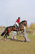 МАРШРУТЫ 120 • ХОДИТ В ПОЛЯ