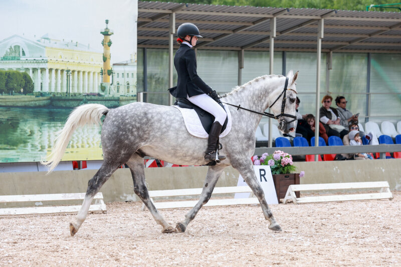 БЕТАНКУР-19 и Шнейдер Яна