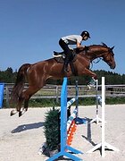 БОЛЬШОЙ ДОБРЯК В КОНКУР