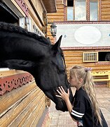 ИМПОРТНЫЙ ФРИЗ