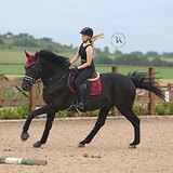 ЖЕРЕБЕЦ ДЛЯ ЛЮБИТЕЛЯ