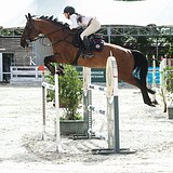 СТАРТОВЫЙ ОПЫТ ДО 145 СМ