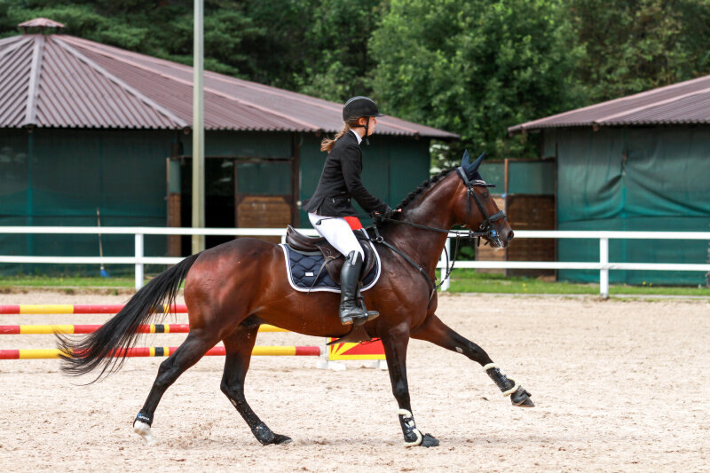 СОРРЕНТО-18 и Замская Аэлита
