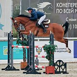 СТАРТОВЫЙ ОПЫТ ДО 130 СМ 