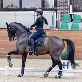 Тренер-Берейтор, Maxima Stables 