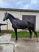 Маршруты 120+, коб 2020 гр
