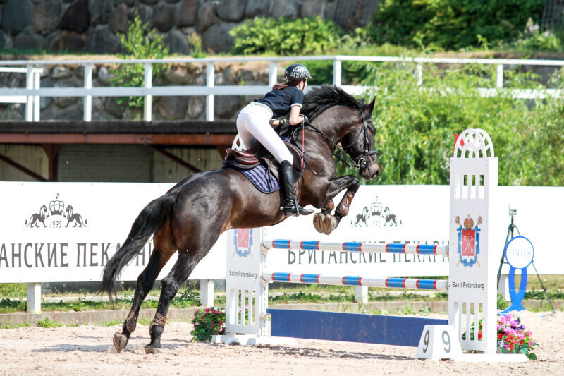 МАКЕДОН и Вебер Ксения