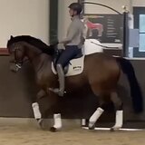 ЛИНИЯ DON JUAN DU HUS 