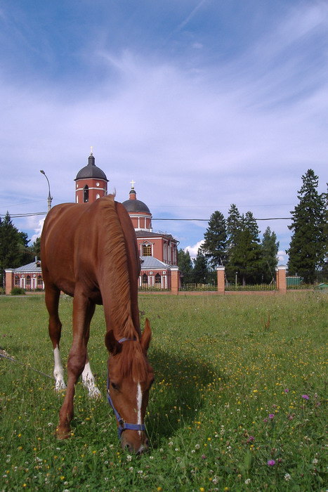 Дуглас у Никольской церкви