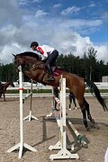 Кобыла с большой перспекти