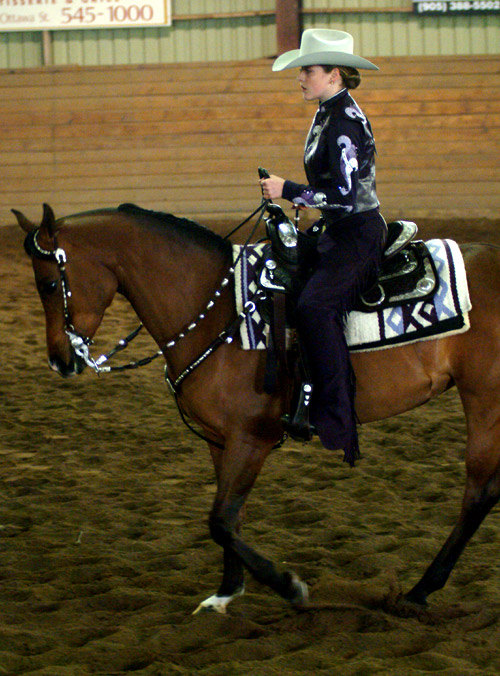 Western equitation class (sorevnovanija)