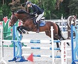 ОПЫТНЫЙ УЧИТЕЛЬ В КОНКУР