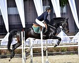 КОБЫЛА • МАРШРУТЫ 105