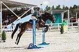 ЖЕРЕБЕЦ ПОД РЕБЕНКА