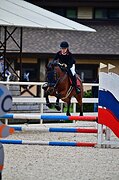 Мерин конкурный