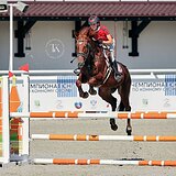 БУДЕННОВСКИЙ ЖЕРЕБЕЦ