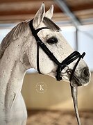 ЭЛЕМЕНТЫ ЮНОШЕСКИХ ЕЗД