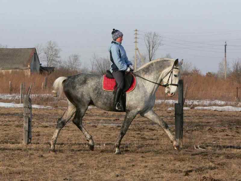 кск Чистополье