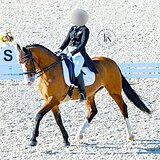 НЕВЕРОЯТНО КРАСИВЫЙ