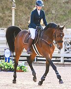 СТАРТОВЫЙ ОПЫТ ДО 120 СМ