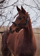 УВЕРЕННАЯ И ЭФФЕКТНАЯ