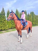 Пони 149 вх