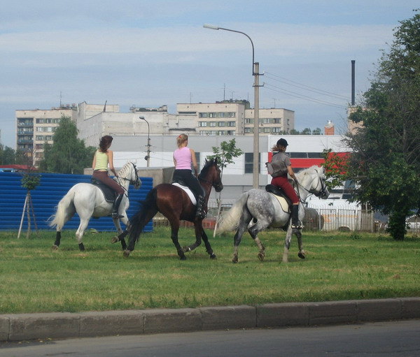 2 орловца и русский в центре