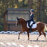 Пони 125 вх, 2010 гр