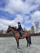 Конкур/троеборье/езды