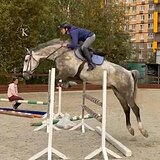 ЛИНИЯ CORNET OBOLENSKY