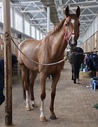 Безопасная универсальная к