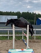 Ориджнл мэн