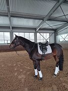 Детские и юношеские езды