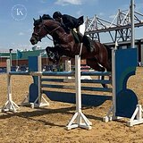 ЖЕРЕБЕЦ НА МАРШРУТЫ 135