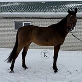 МАРШРУТЫ ДО 120 СМ