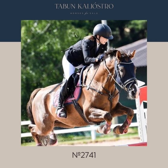 Опыт в сфере продаж. Воронка продаж b2b холодные звонки. Опыт в сфере продаж. Почему пятая точка. Маркетинговая воронка продаж.