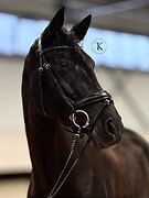 УРОВЕНЬ ЮНОШЕСКИХ ЕЗД