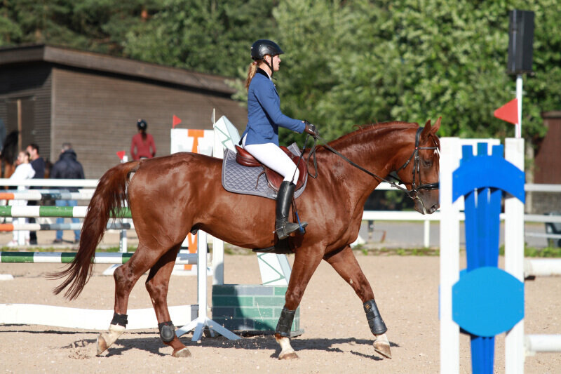 ФЭНТЕЗИ М-18 и Шатоба Ксения