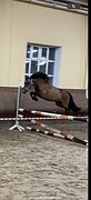Вырос в одних руках