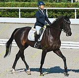 Выездка Срочная продажа