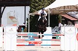 Импортный голштин, конкур 14
