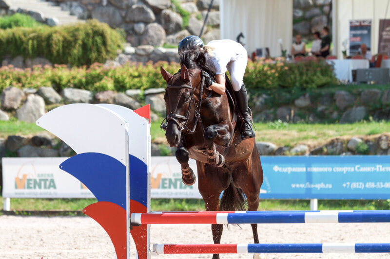 МИГЕЛЬ и Буркова Наталья