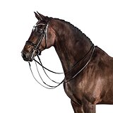 Мундштучное оголовье WALDHAUSEN SUPERSOFT X-LINE