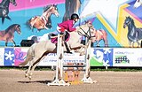 Пони 142 вх выездка, конкур