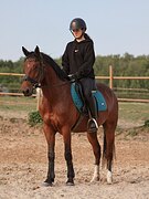 Шикарный мерин пони-класс
