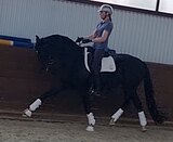 Юношеские езды +