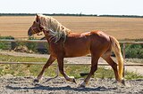 ДЕТСКИЕ ЕЗДЫ 64%