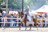 потомок Caratino, Cor de la Breyer